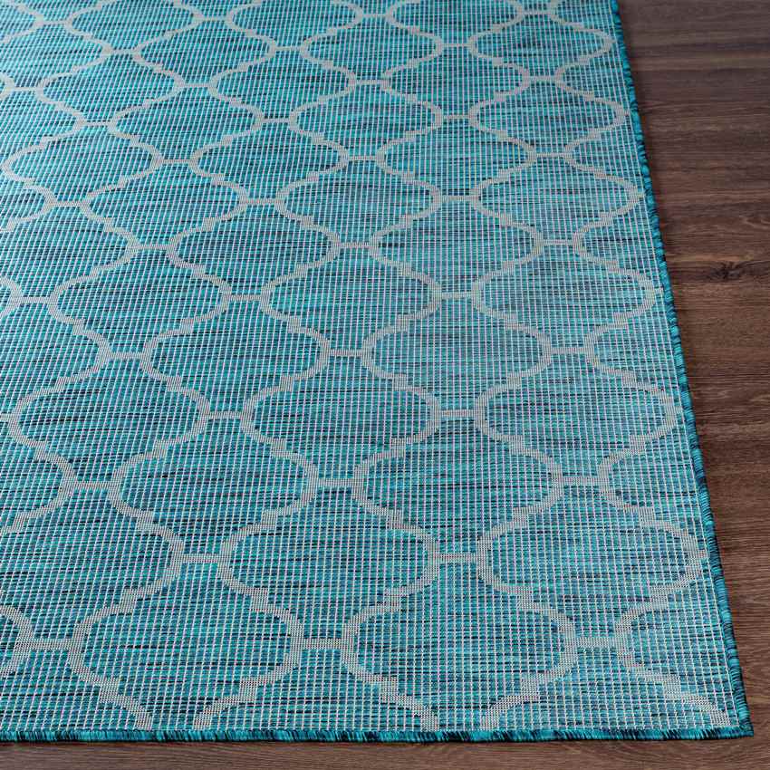 Bussum Traditional Teal Area Rug