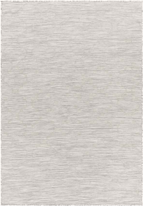 Bussum Traditional Light Gray Area Rug