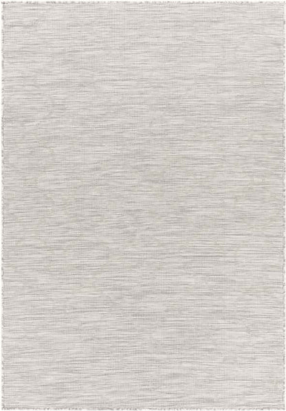 Bussum Traditional Light Gray Area Rug