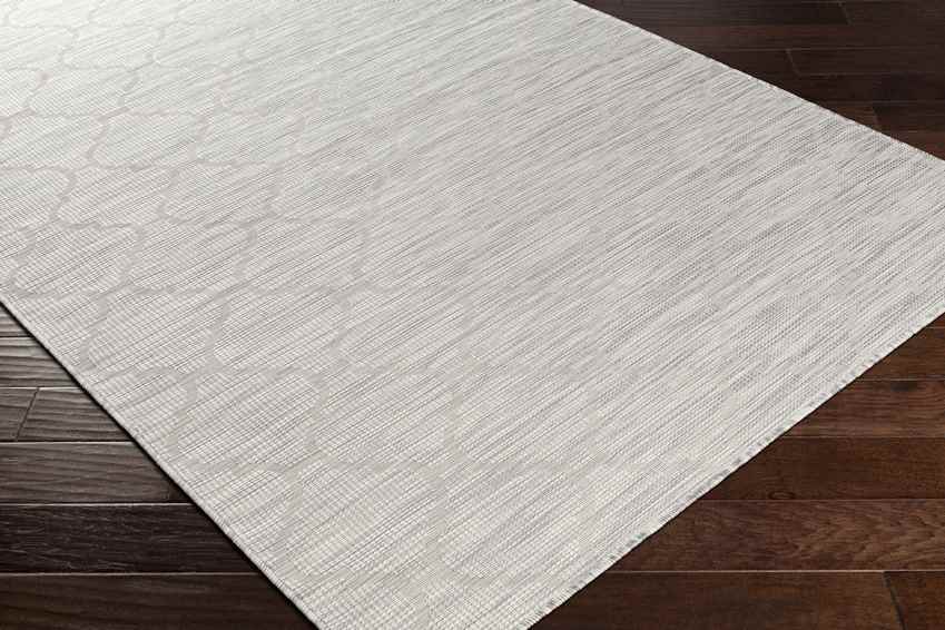 Bussum Traditional Light Gray Area Rug