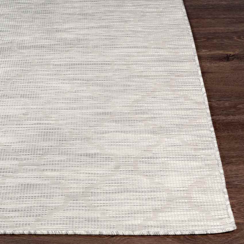 Bussum Traditional Light Gray Area Rug