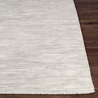 Bussum Traditional Light Gray Area Rug