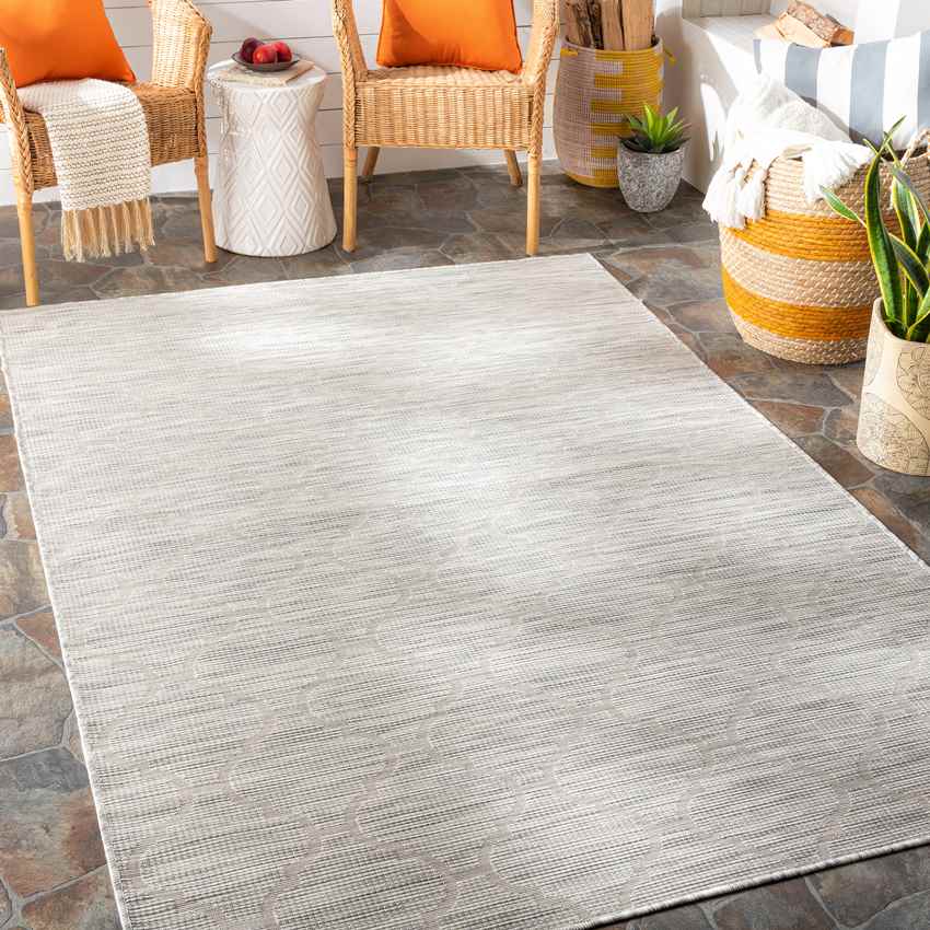 Bussum Traditional Light Gray Area Rug