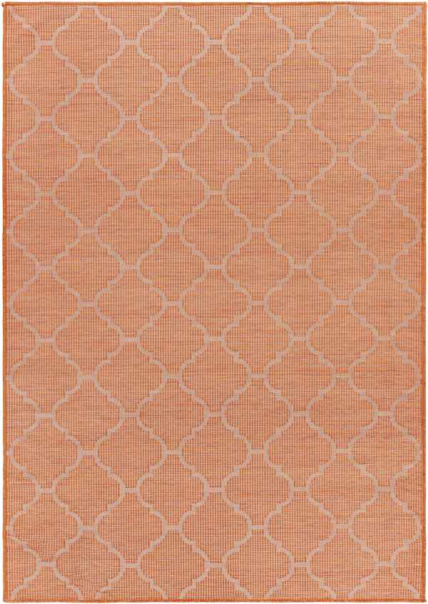 Bussum Traditional Bright Orange Area Rug