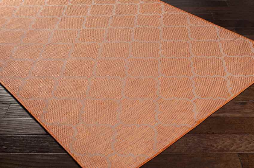 Bussum Traditional Bright Orange Area Rug