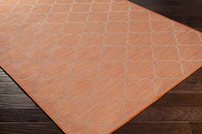 Bussum Traditional Bright Orange Area Rug