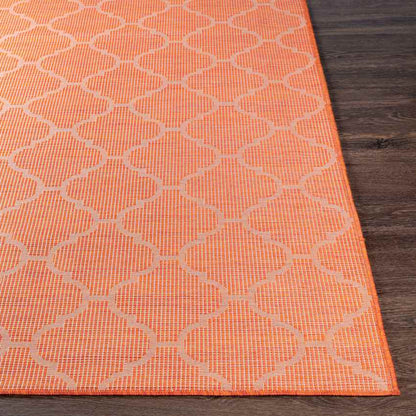Bussum Traditional Bright Orange Area Rug