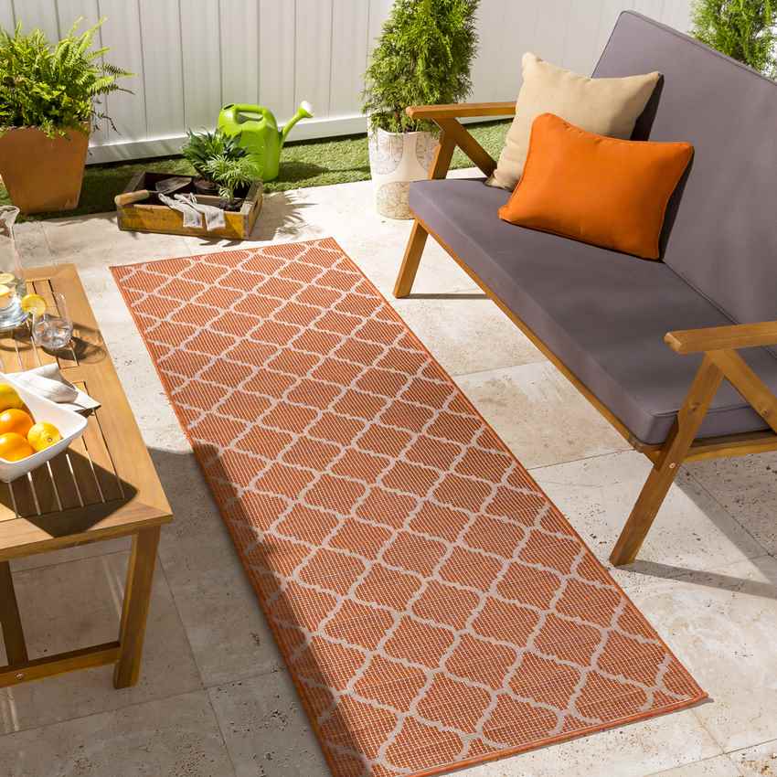 Bussum Traditional Bright Orange Area Rug
