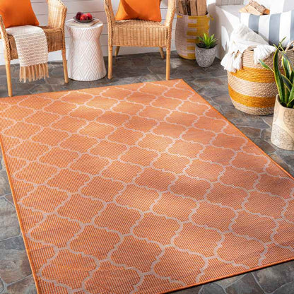 Bussum Traditional Bright Orange Area Rug