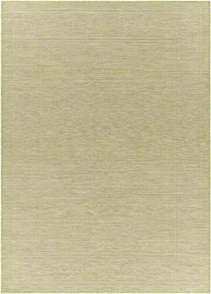 Castricum Traditional Light Green Area Rug