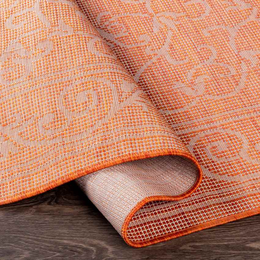 Castricum Traditional Orange Area Rug