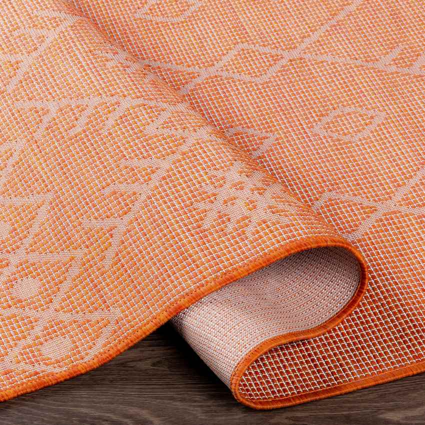Catrijp Global Orange Area Rug