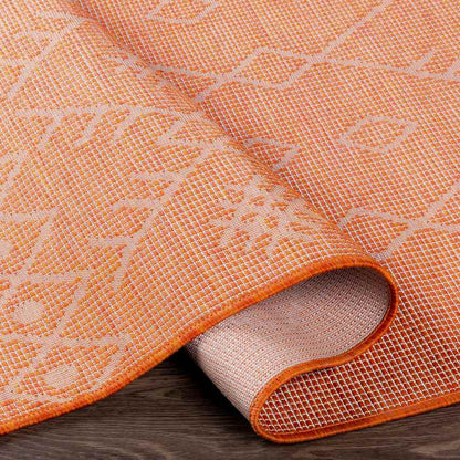 Catrijp Global Orange Area Rug