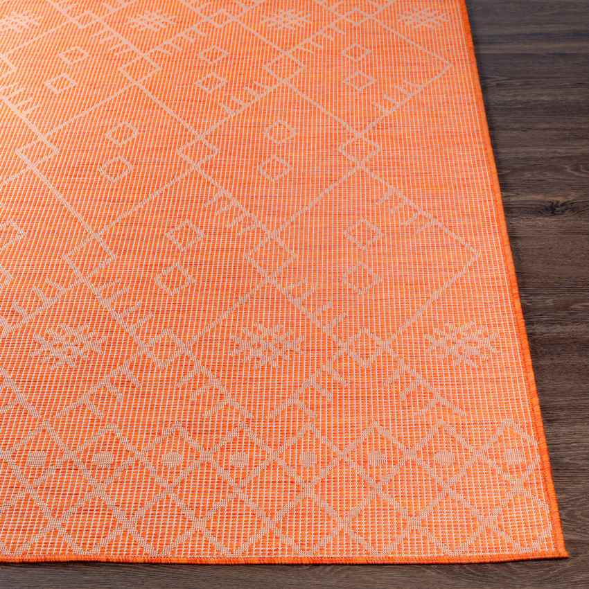 Catrijp Global Orange Area Rug