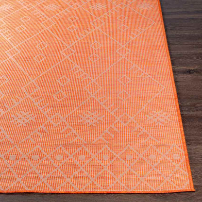 Catrijp Global Orange Area Rug