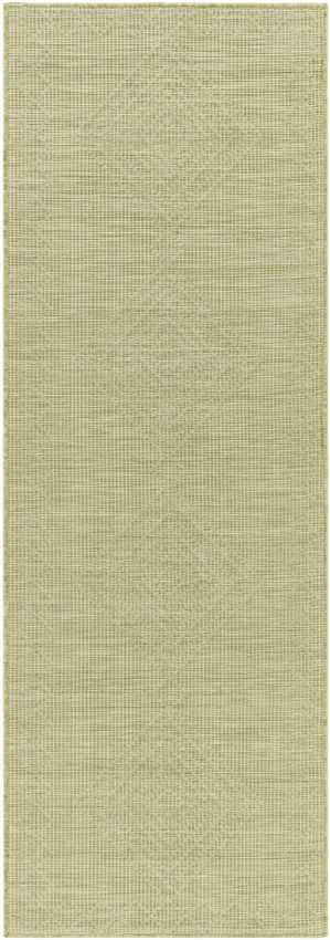 Craailo Global Light Green Area Rug