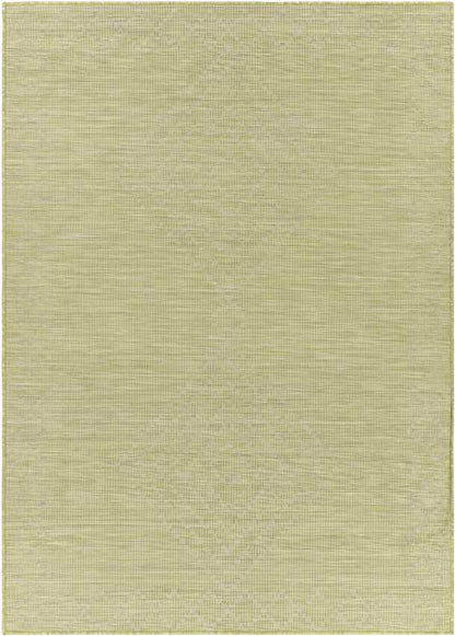 Craailo Global Light Green Area Rug