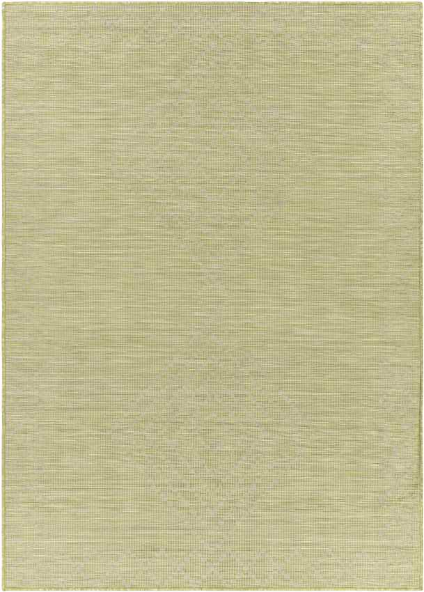 Craailo Global Light Green Area Rug