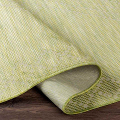 Craailo Global Light Green Area Rug
