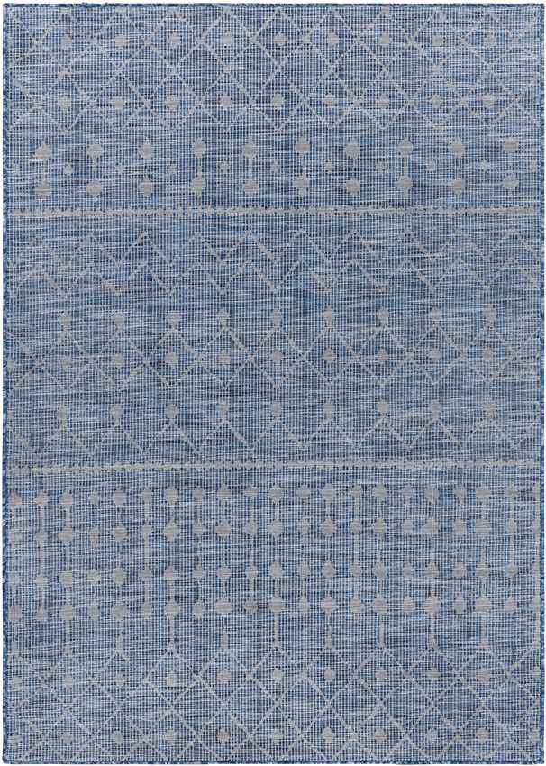 Cruquius Global Navy Area Rug
