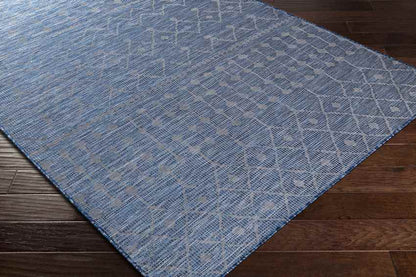 Cruquius Global Navy Area Rug
