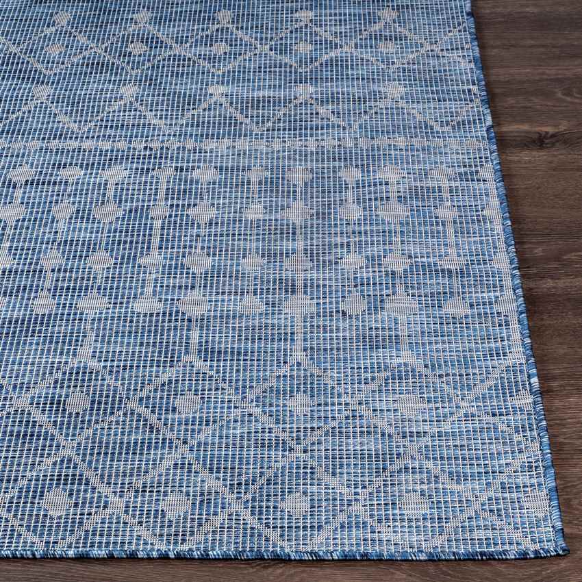 Cruquius Global Navy Area Rug