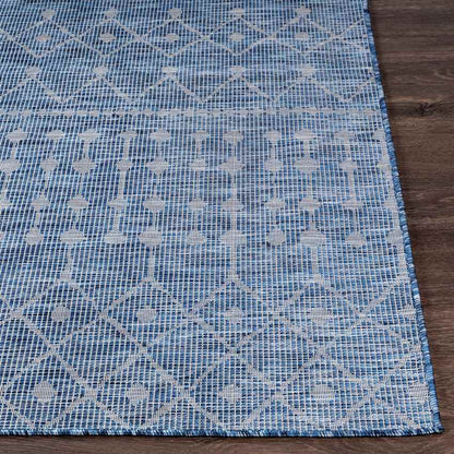 Cruquius Global Navy Area Rug