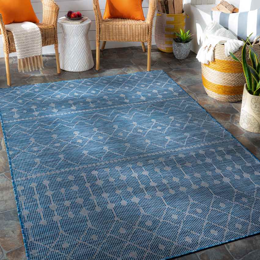 Cruquius Global Navy Area Rug