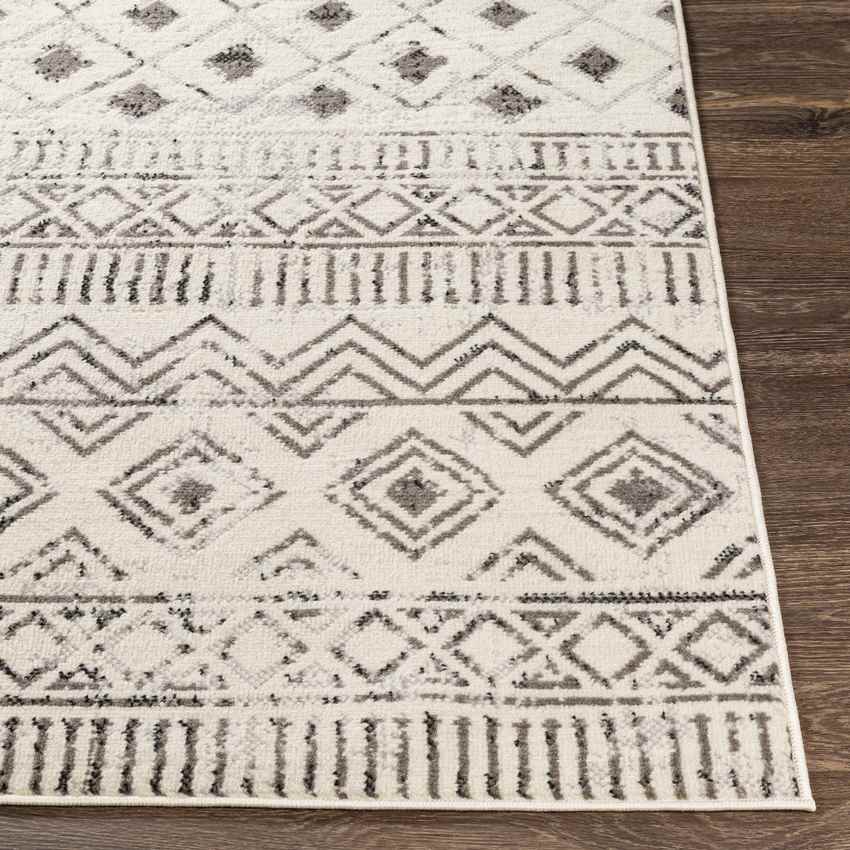 Oolde Global Light Gray Area Rug