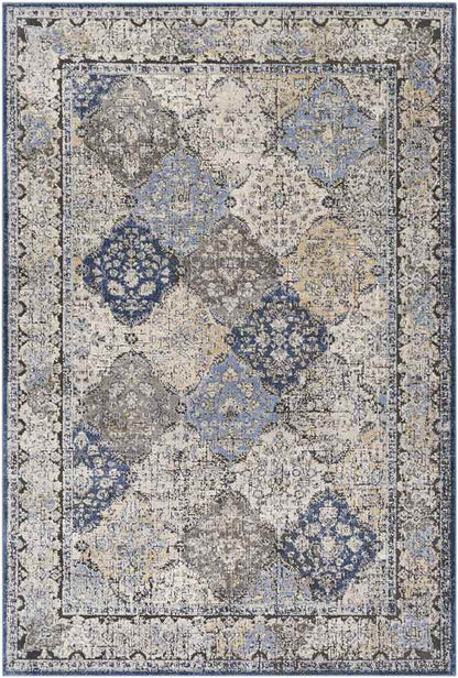 Loenen Traditional Light Gray Area Rug