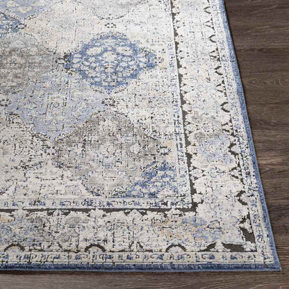 Loenen Traditional Light Gray Area Rug