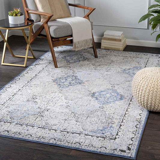 Loenen Traditional Light Gray Area Rug