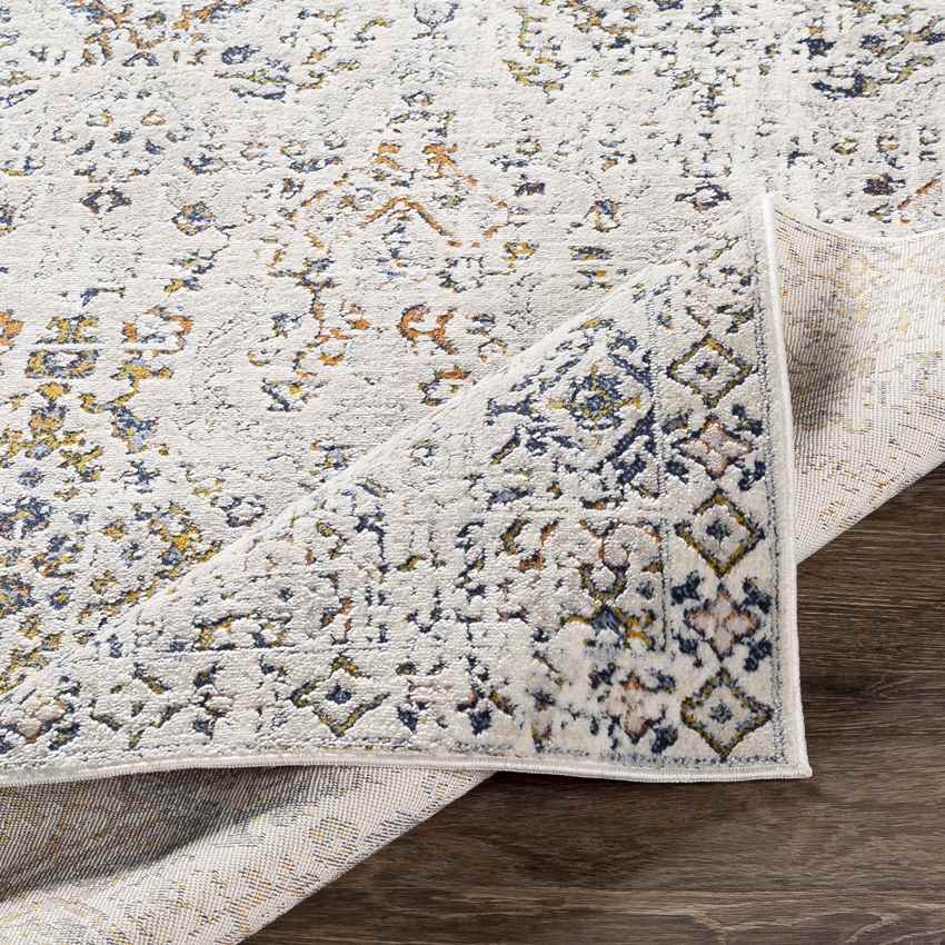 Loil Traditional Taupe Area Rug