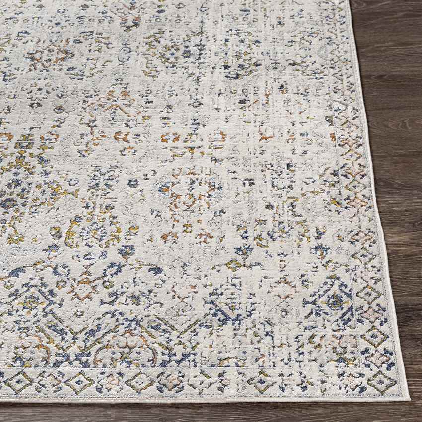 Loil Traditional Taupe Area Rug