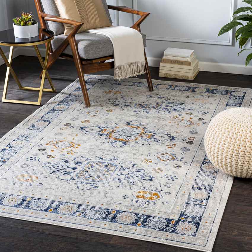 Looveer Traditional Light Gray Area Rug
