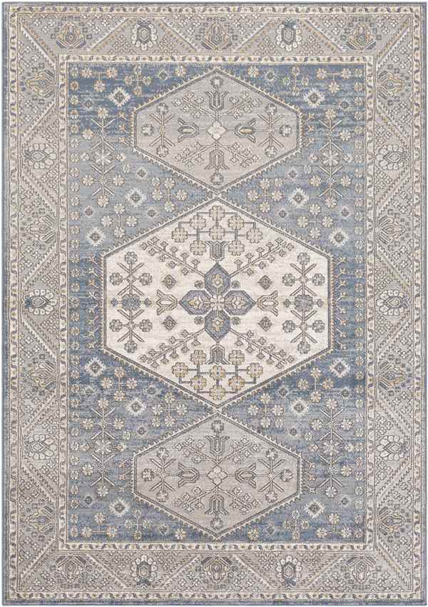 Kolthoorn Traditional Medium Gray Area Rug