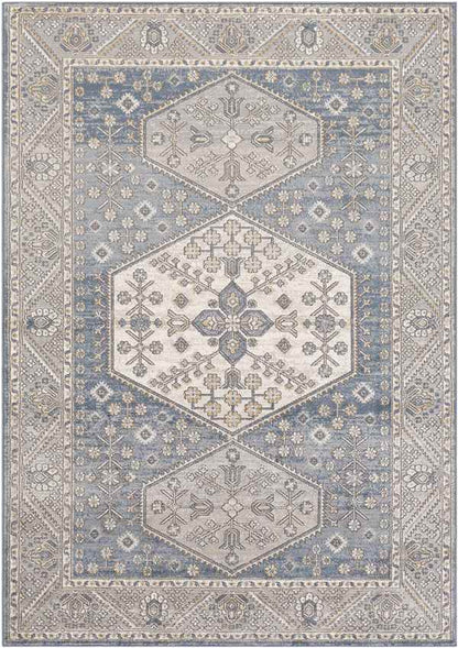 Kolthoorn Traditional Medium Gray Area Rug