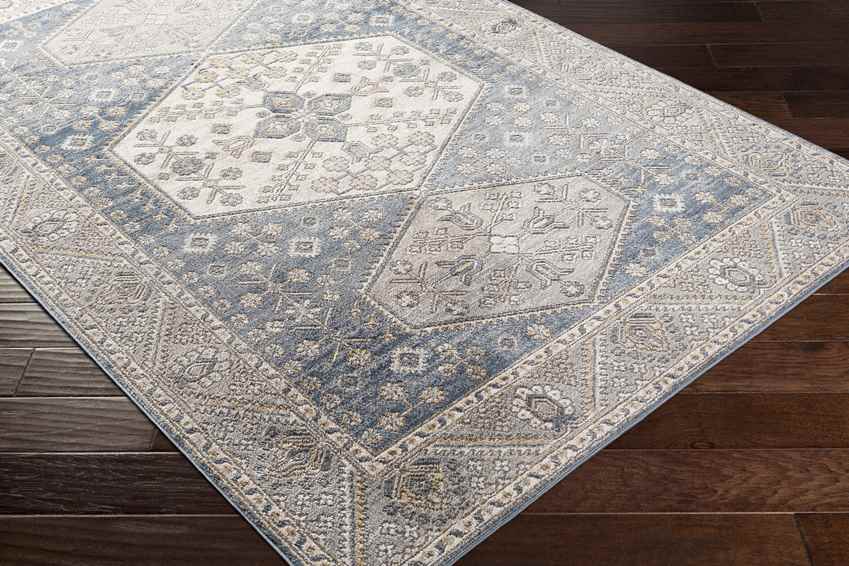 Kolthoorn Traditional Medium Gray Area Rug