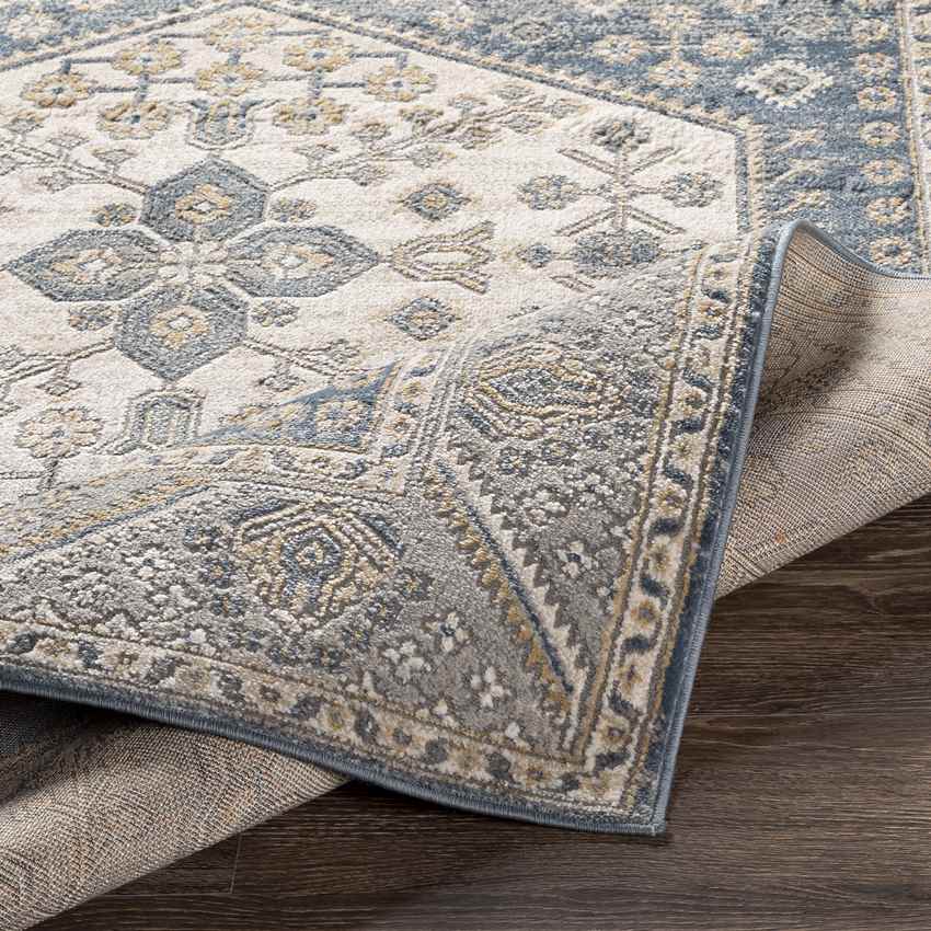 Kolthoorn Traditional Medium Gray Area Rug