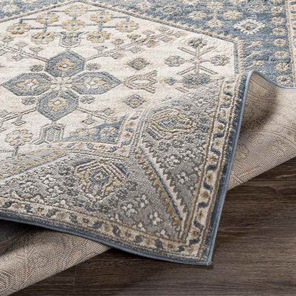 Kolthoorn Traditional Medium Gray Area Rug