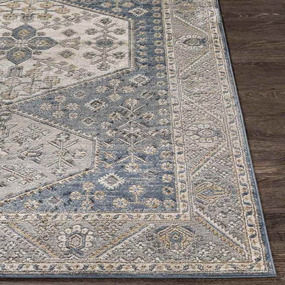 Kolthoorn Traditional Medium Gray Area Rug