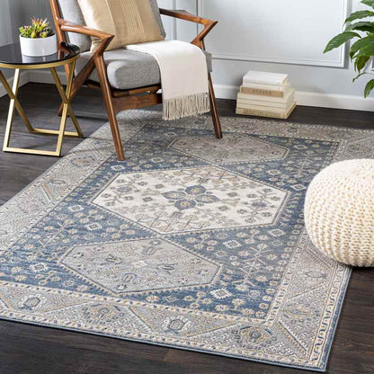 Kolthoorn Traditional Medium Gray Area Rug