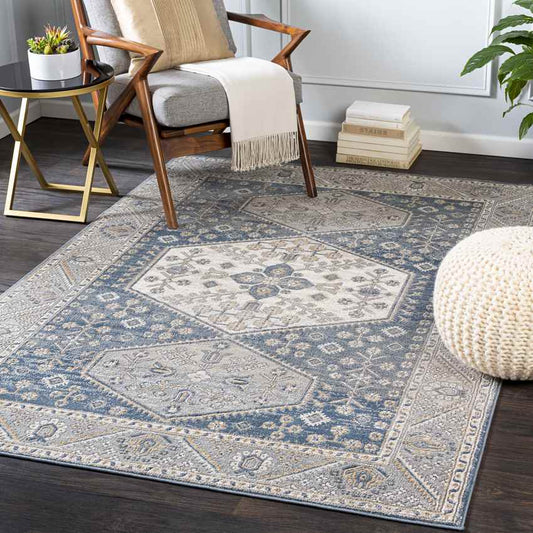 Kolthoorn Traditional Medium Gray Area Rug