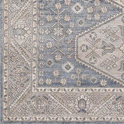 Kolthoorn Traditional Medium Gray Area Rug