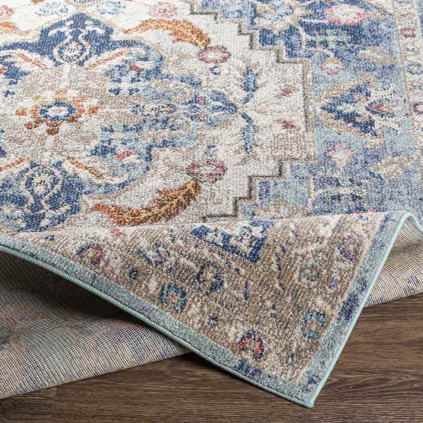 Gooi Traditional Navy Area Rug