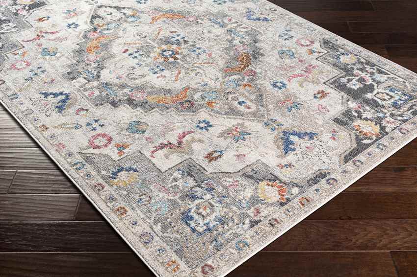 Gooi Traditional Medium Gray Area Rug