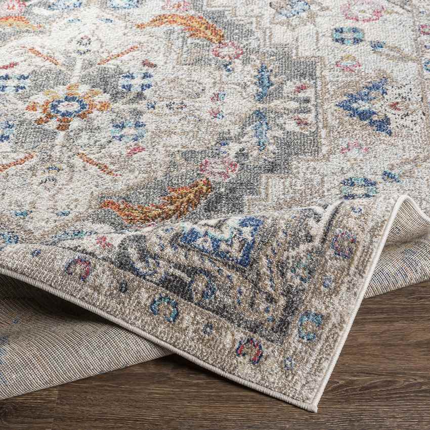 Gooi Traditional Medium Gray Area Rug