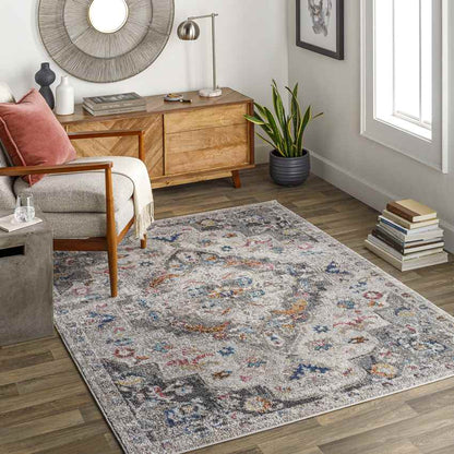Gooi Traditional Medium Gray Area Rug