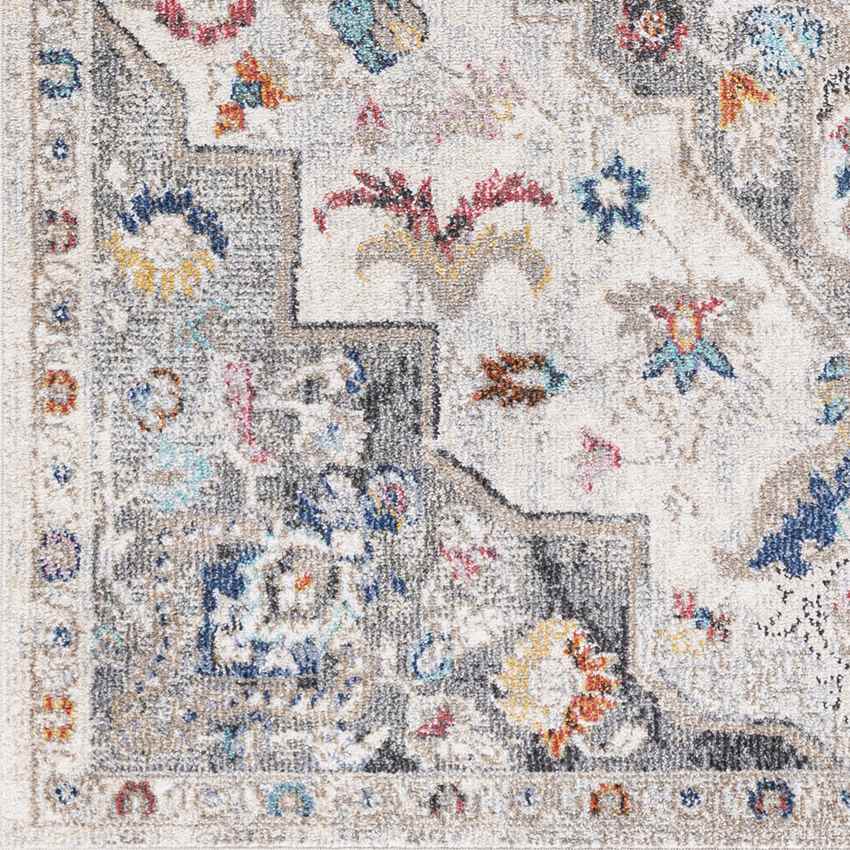 Gooi Traditional Medium Gray Area Rug