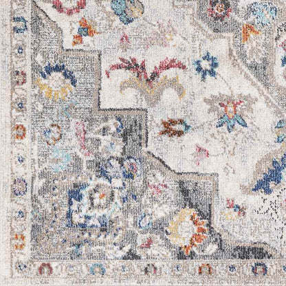 Gooi Traditional Medium Gray Area Rug